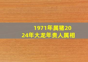 1971年属猪2024年大龙年贵人属相,1971年属猪的在2024年好不好