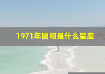 1971年属相是什么星座