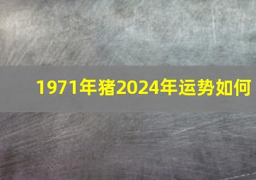 1971年猪2024年运势如何,1971年属猪2024年全年运势