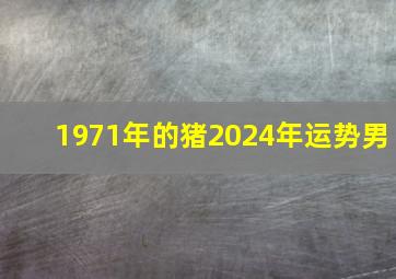 1971年的猪2024年运势男,1971年的猪男2024年运势如何