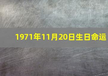 1971年11月20日生日命运