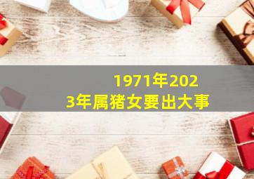 1971年2023年属猪女要出大事,2023年属猪女1971全年运势