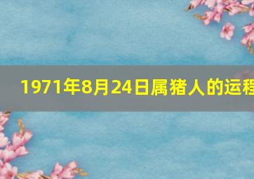 1971年8月24日属猪人的运程,1971年8月24命好不好