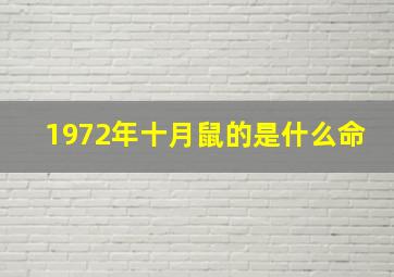 1972年十月鼠的是什么命,1972年属鼠十月出生的命运