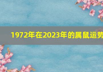 1972年在2023年的属鼠运势,72的鼠在2023年属鼠运势如何