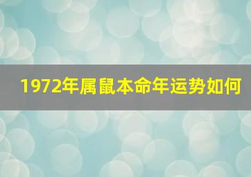 1972年属鼠本命年运势如何,1972年属鼠本命年运势如何看