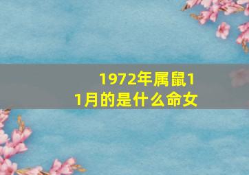 1972年属鼠11月的是什么命女,1972年11月属什么生肖属相