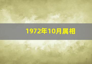 1972年10月属相,1972年10月什么命