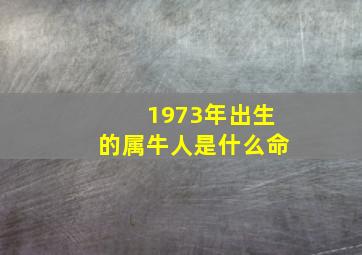 1973年出生的属牛人是什么命,属牛1973年出生是什么命