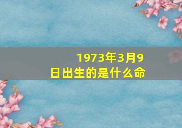 1973年3月9日出生的是什么命,1973是什么命