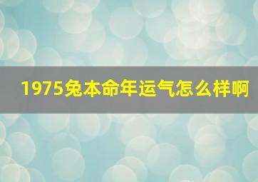 1975兔本命年运气怎么样啊,75年属兔本命年是几几年