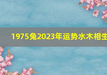 1975兔2023年运势水木相生,75年属兔人2023年全年运程及每月运势详细解析