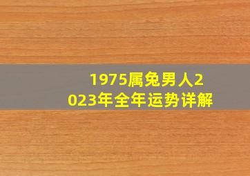 1975属兔男人2023年全年运势详解,1975年出生属兔人2023年全年运势生肖兔兔年每月运势