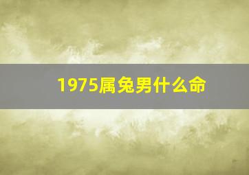 1975属兔男什么命,