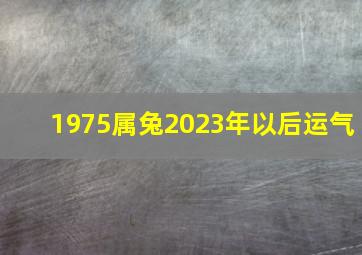 1975属兔2023年以后运气,1975属兔2023年49岁当前运气平颠簸稳还是大起大落呢