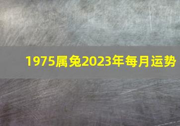 1975属兔2023年每月运势,1975年出生属兔人2023年运势及运程