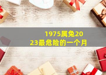 1975属兔2023最危险的一个月,1975属兔女2023年每月运势及运程