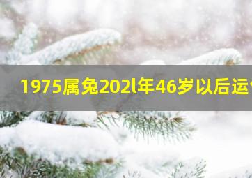 1975属兔202l年46岁以后运气,1975年属兔女2021年有正缘桃花吗46岁女命牛年婚姻运