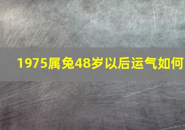 1975属兔48岁以后运气如何,1975兔过了47岁桃花不衰