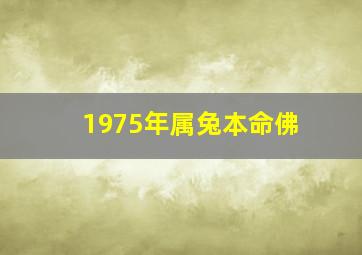 1975年属兔本命佛,75年兔本命菩萨