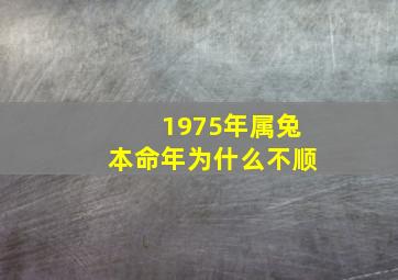 1975年属兔本命年为什么不顺,1975年的本命年