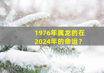 1976年属龙的在2024年的命运？,76年属龙2024年运势及运程每月运程