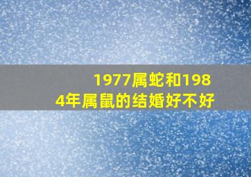 1977属蛇和1984年属鼠的结婚好不好,1977年属蛇女和1984的鼠相配吗