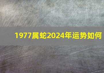 1977属蛇2024年运势如何,1977年2024年运势如何