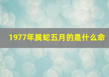 1977年属蛇五月的是什么命,77年五月出生的蛇