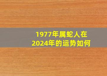 1977年属蛇人在2024年的运势如何,1977年属蛇人2024年运势每月运势