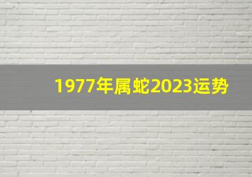 1977年属蛇2023运势,1977属蛇女2023年运势及运程每月运程大运是好是坏