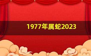 1977年属蛇2023,77年的2023年今年多大了