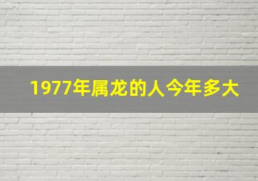 1977年属龙的人今年多大,1977年出生的2021年多大