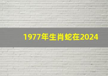 1977年生肖蛇在2024,1977年属蛇男2024年的运势和婚姻