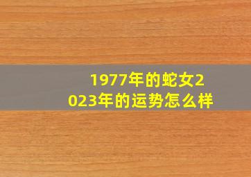 1977年的蛇女2023年的运势怎么样,1977年属蛇2023年的运程