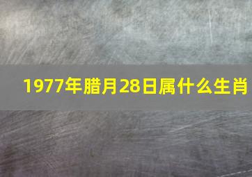 1977年腊月28日属什么生肖,农历1977年腊月二十八的命