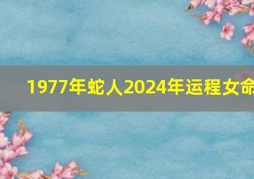 1977年蛇人2024年运程女命