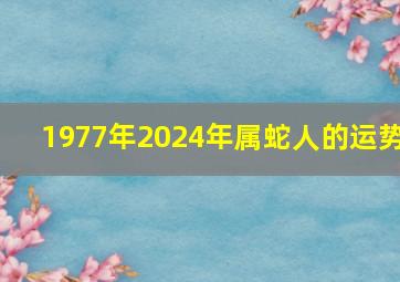 1977年2024年属蛇人的运势