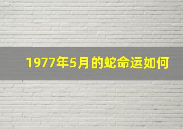 1977年5月的蛇命运如何,1977年5月生人的命运