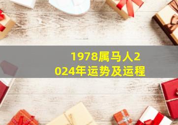 1978属马人2024年运势及运程,1978属马2024年运势及运程详解