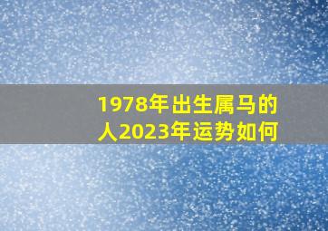 1978年出生属马的人2023年运势如何,78年属马男人2023年运势及运程