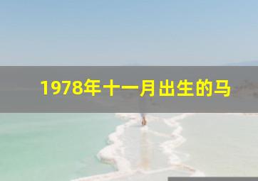 1978年十一月出生的马,78年11月的马怎么样