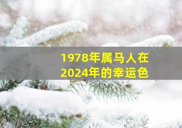 1978年属马人在2024年的幸运色