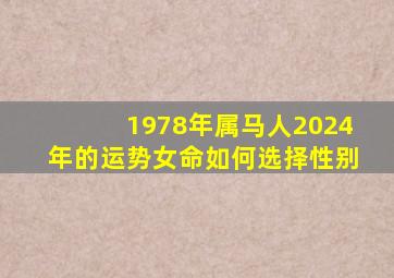 1978年属马人2024年的运势女命如何选择性别,1978年的马在2024年的运势怎么样女