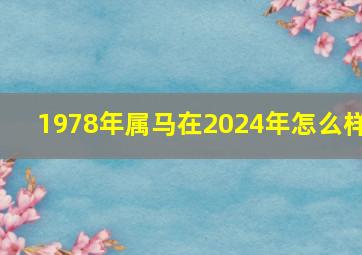 1978年属马在2024年怎么样,1978年的马在2024年的运势怎么样