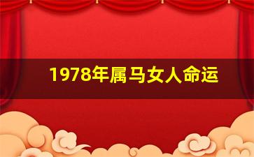 1978年属马女人命运,1978年属马女一生的命运