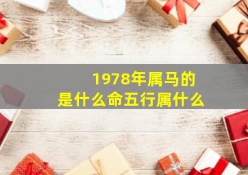 1978年属马的是什么命五行属什么,1978年属马是什么命五行属什么命