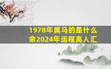 1978年属马的是什么命2024年运程高人汇,1978年的属马在2024是什么命