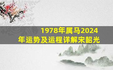 1978年属马2024年运势及运程详解宋韶光,1978年属马人2024年运势及运程