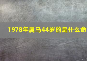 1978年属马44岁的是什么命,44岁1978年属马的2022年上半年运势怎样样